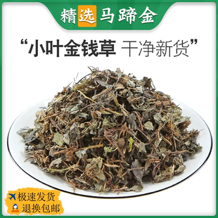 中药材正品新货野生小叶金钱草干500g克天然金钱莲连结石茶中草药