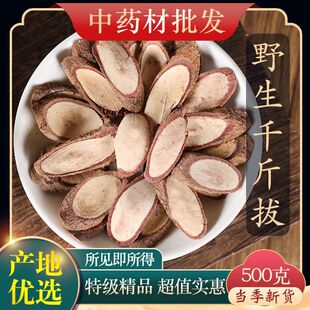 中药材精选 千斤拨 千金拔 一条根 老鼠尾 吊马桩 金牛尾 钻地风