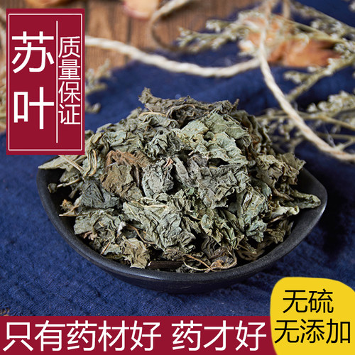 野生紫苏叶纯天然新鲜中药材包邮