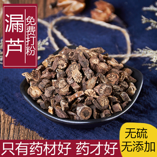 中药材漏芦 野生漏芦根包邮500克 别名狼头花 野兰 鬼油麻 龙葱根