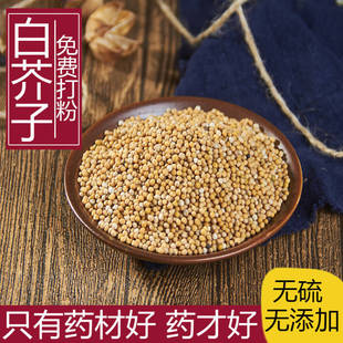 中药材新货白芥子500克籽白芥末籽白芥子种子白芥子粉可磨白芥末