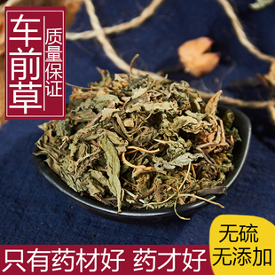 中药材 野生车前草 正品车轮菜 车前草茶 新鲜干货 散装 500克