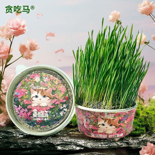 贪吃马春季猫草无土猫草猫草混合猫草猫零食