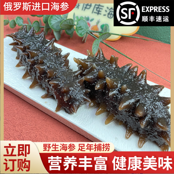俄伊库俄罗斯海参礼盒海参