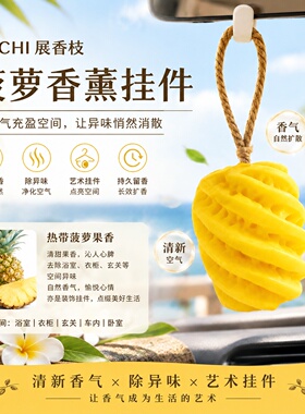 菠萝香薰蜡片挂件除味留香