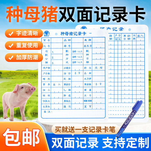 种母猪记录卡双面分娩档案管理卡