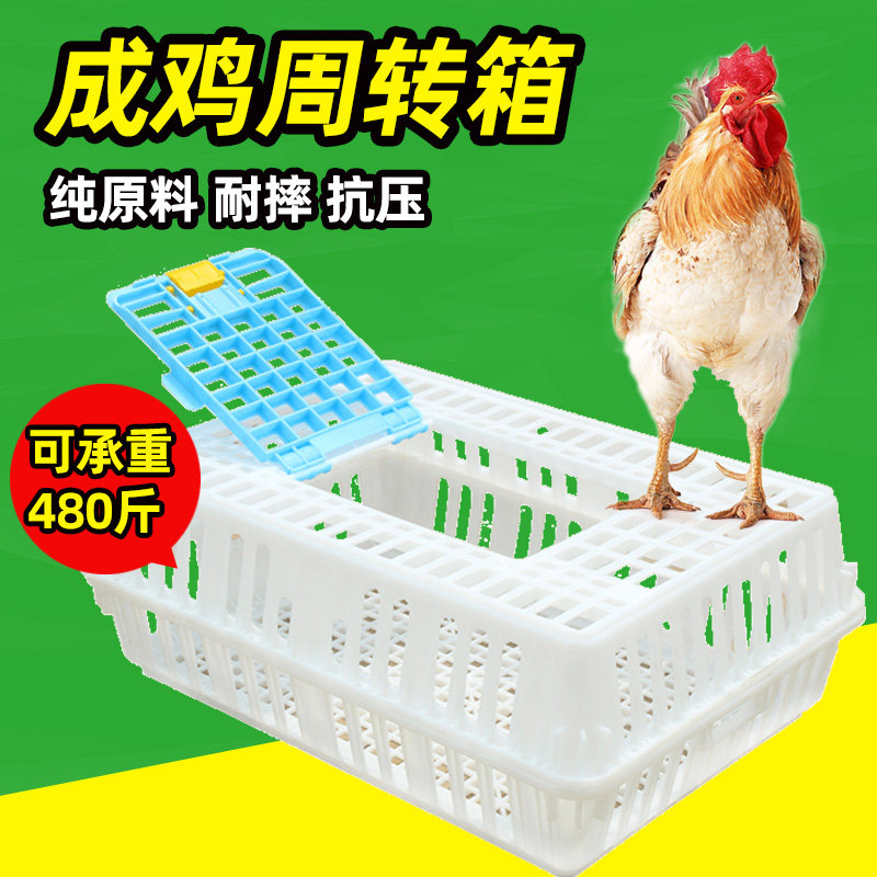 耐爾尼雞籠周轉箱 雞用運輸筐 成雞成鴨用運輸籠 雞籠 雛雞運輸箱在類目 寵物/寵物食品及用品, 畜牧用品（新）, 畜牧器械中 - 來自Buy2taobao.com提供專業的淘寶代購服務