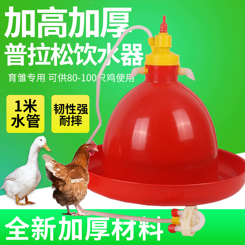 养殖养鸡设备普拉松自动饮水器
