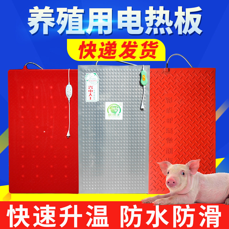 仔猪电热板猪用保温板加热板发热板兔宠物狗小鸡兽用养殖取暖设备