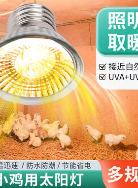 芦丁鸡保温灯养殖场专用