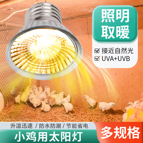 芦丁鸡保温灯养殖场专用