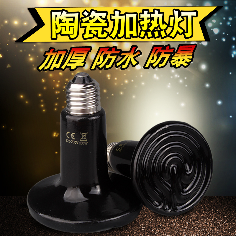 陶瓷灯蜘蛛宠物刺猬乌龟加热灯