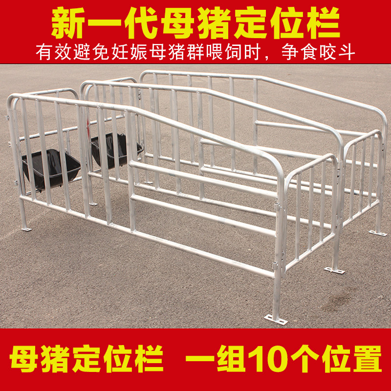 耐尔尼 定位栏 母猪定位栏 母猪限位栏带10个母猪食槽 养猪设备