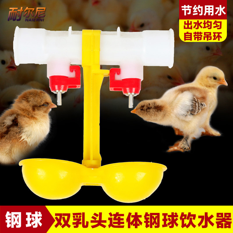耐尔尼双乳头鸡自动饮水器鸡用钢球饮水器自动喂水带吊杯养鸡设备