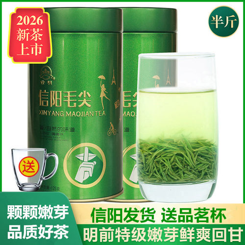 信阳毛尖2026新茶明前嫩芽250g