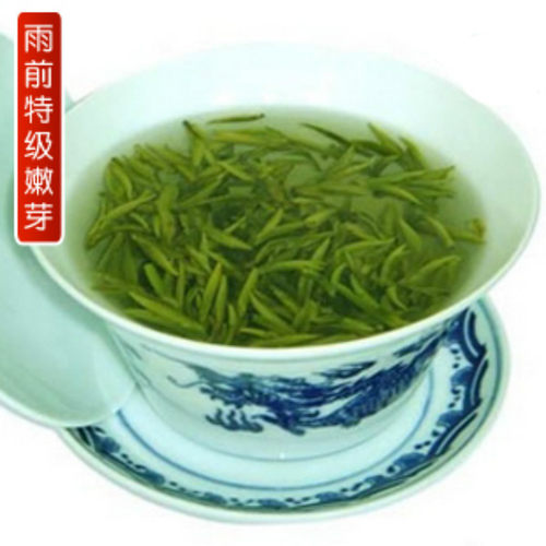 信阳毛尖2026新茶雨前特级全芽头