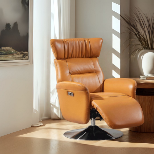 现代明天家居真皮沙发椅