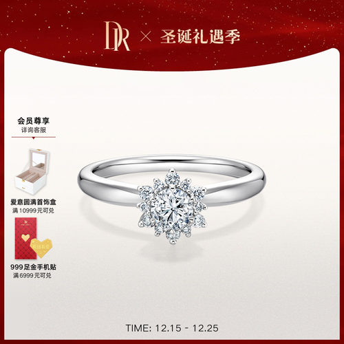 DRBELIEVE简奢款求婚钻戒