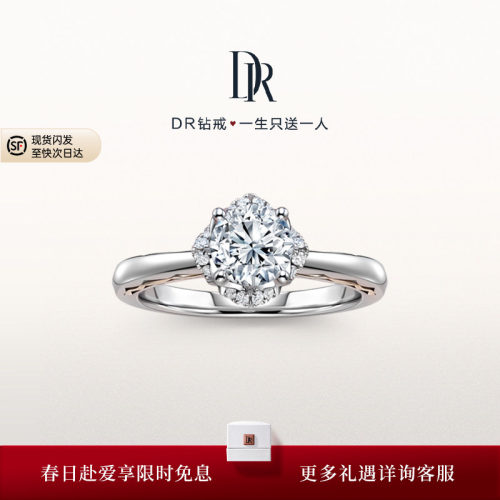 DRLOVEPALACE系列繁华求婚钻戒