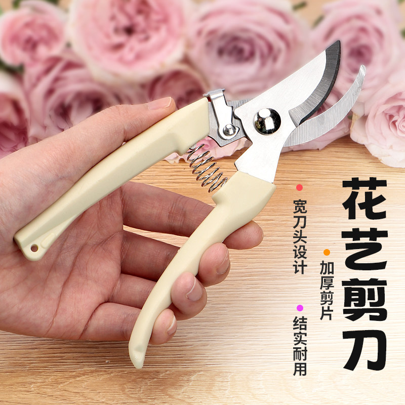 剪枝果树修枝剪刀园艺修剪树枝园林省力修花枝剪家用强力剪子神器_虎窝淘