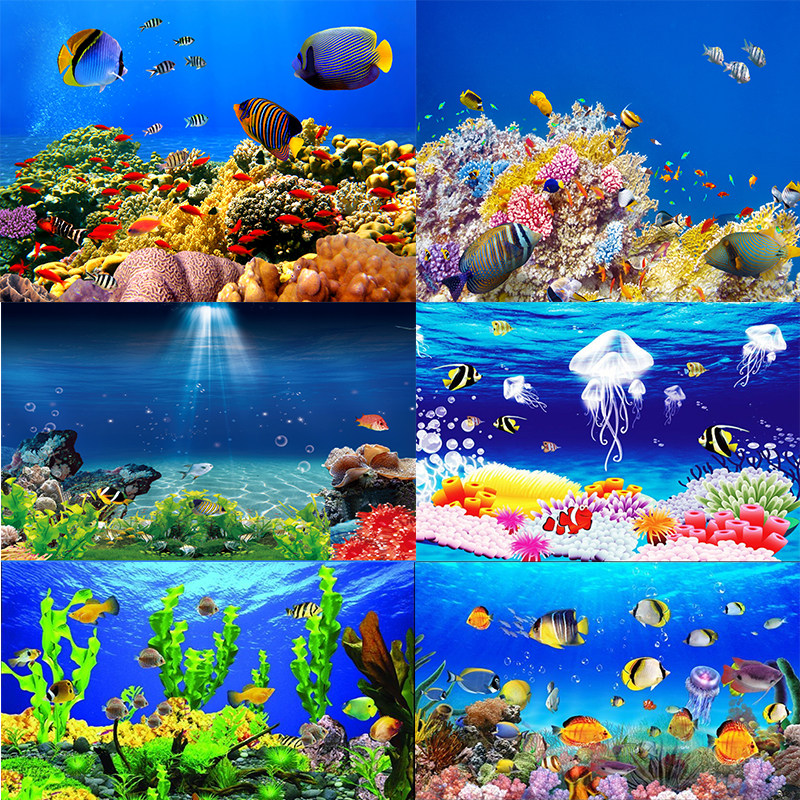 鱼缸背景贴纸高清图3D立体水族箱鱼缸造景海底世界外贴装饰背景画