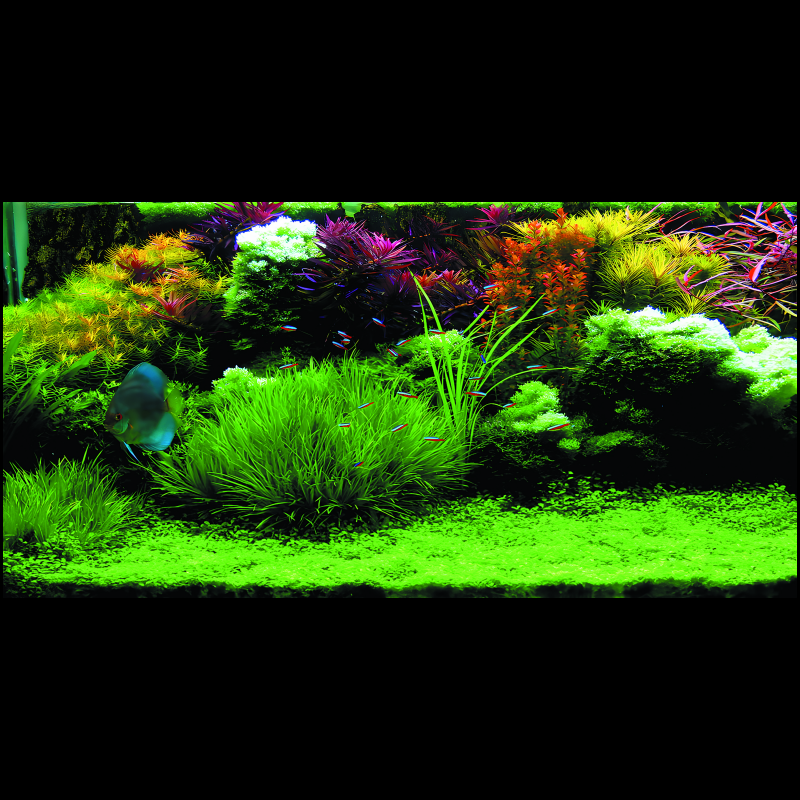 鱼缸背景贴纸高清图3D立体水草水族箱鱼缸造景外贴装饰壁纸背景画