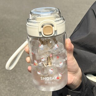 水杯tritan夏季 高颜值2024新款 泡茶杯大容量女生茶隔学生喝水杯