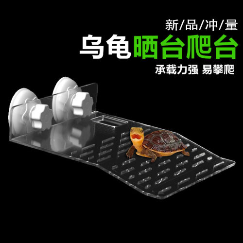 乌龟高水位壁挂晒背栖息台