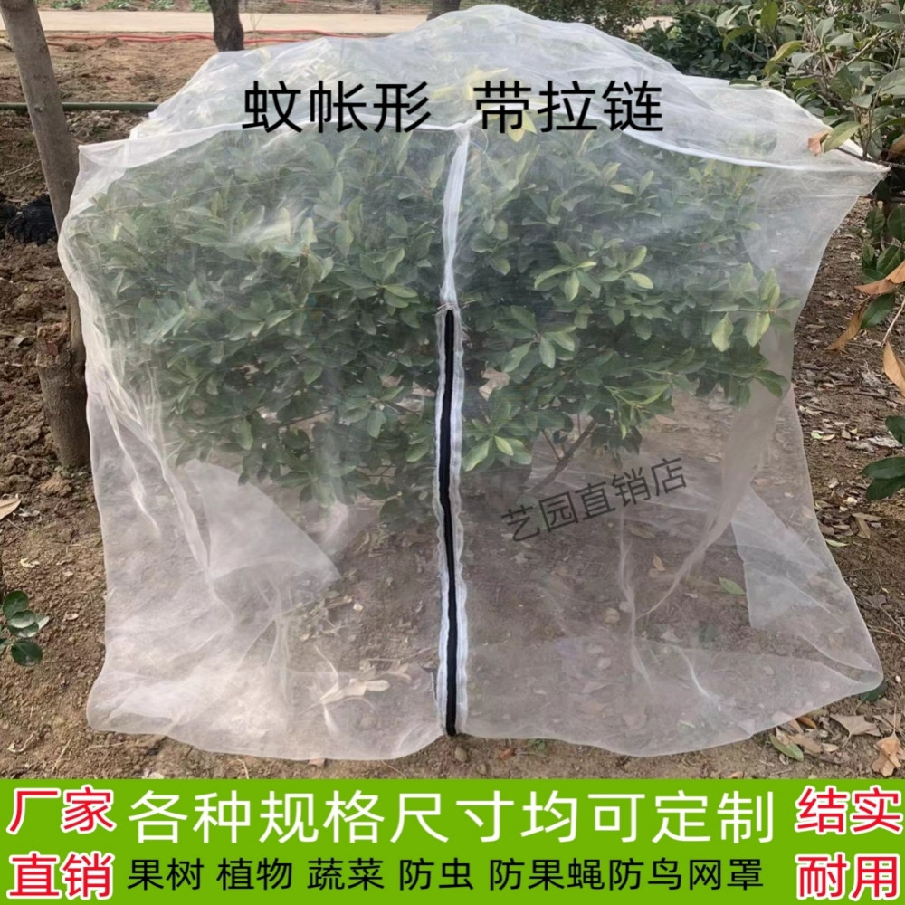杨梅网罩莲雾蓝莓网果树防虫网防鸟用网樱桃网罗幔蚊帐蔬菜加厚40