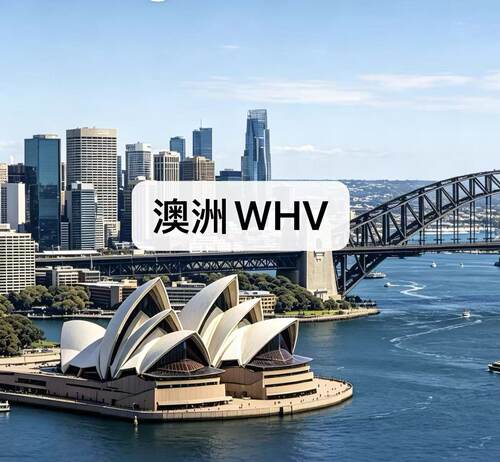 澳洲WHV 打工度假 26年澳洲WHV名额代理注册申请  462代填表