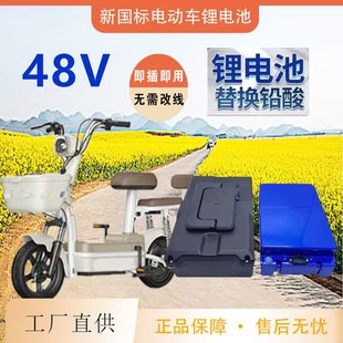 踏板电动车锂电池48V20A水泵爱玛台铃新日雅迪009铅酸改锂