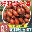 金樱子野生泡酒金樱子泡茶农家三蒸三晒金樱子干中药材泡酒料养生