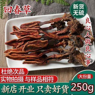 正品250g回春草不老草顶天柱泡酒料锁阳肉苁蓉风流果男性肾滋补酒