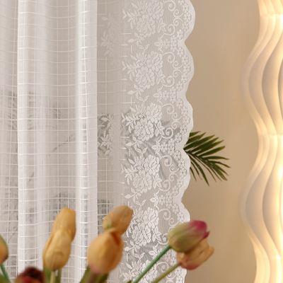 蕾丝窗帘透光新款纱帘卧室飘窗客厅复古轻奢梦幻帘窗纱穿杆帘门帘