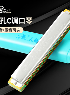 天鹅 口琴初学者学生24孔入门儿童复音成人专业重音C调口风琴乐器