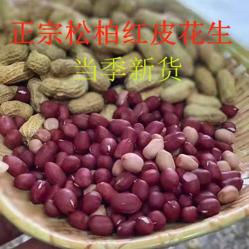 正宗湖南带壳发货生红皮小籽花生红籽黑籽花生当季新货