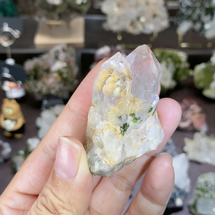 直播专用链接 不含偏远 满100 包邮