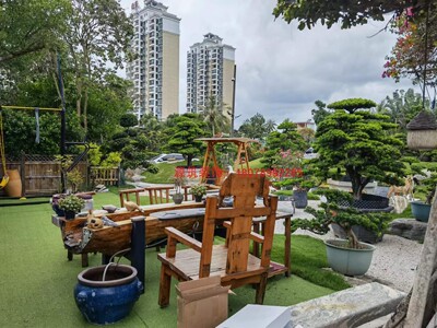 海南陵水三亚万宁家庭庭院园林园艺假山泳池水系果架花树装修设计