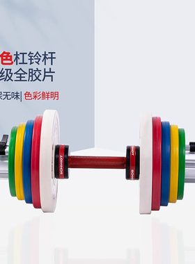 SCHMIDT全胶杠铃片杠铃杆哑铃套装彩色小哑铃片橡胶片0.5 1.5KG