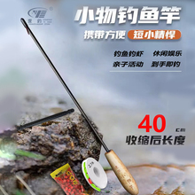 小物钓鱼竿微物手竿儿童超短迷你钓虾竿溪流竿鳑鲏马口鲫鱼竿套装