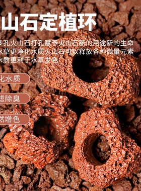 水草定植环红色黑色水草种植环小块大块火山石环水草沉底固定
