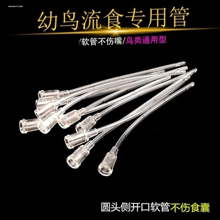鹦鹉雏鸟喂食器软管人工喂流食工具喂药玄风牡丹文鸟猫乌龟爬宠用