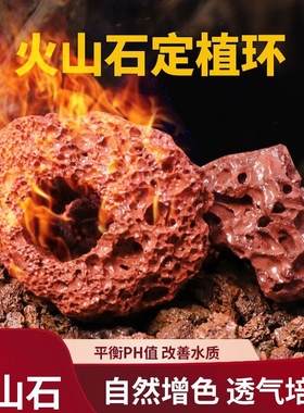 红色火山石水草定植环水草底座鱼缸水草固定种植神器无土栽培