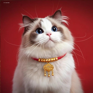 宠物项圈长命锁高颜值平安锁猫咪小金锁狗狗项链喜庆吊牌可调节