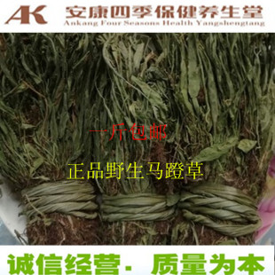 还阳草650元 马蹬草 中药材马蹬草青龙筋 过桥草 500克