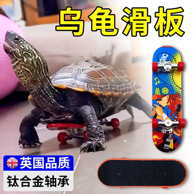 乌龟滑板迷你手指滑板指尖玩具
