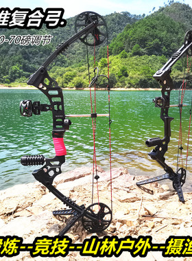 复合弓箭射箭竞技金属弓机械弓滑轮省力猎弓户外成人弓比赛传统弓
