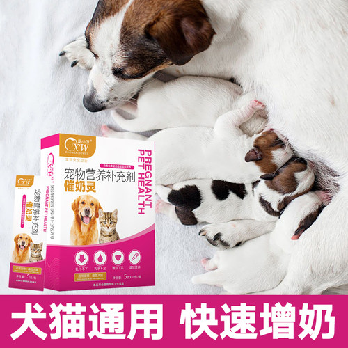 产后母狗母猫增下奶孕期补营养