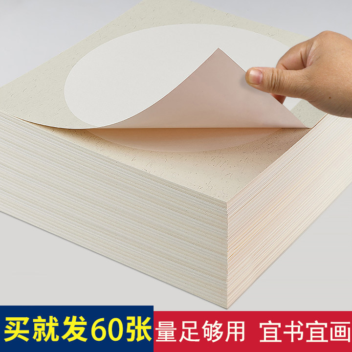 加厚国画生宣宣纸卡纸熟宣工笔画半生半熟空白书法专用纸初学者儿