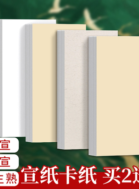 国画卡纸加厚宣纸长方形镜片纸毛笔书法专用纸国画纸空白软卡画画装裱扇面纸全白全麻手工生宣纸美术作品纸